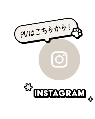 sp_bnrhalf_insta